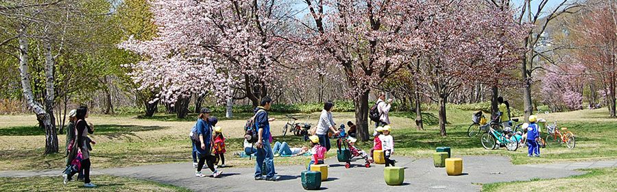 北海道 真駒内公園 お花見スポット