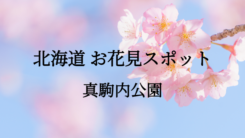 北海道 真駒内公園 お花見スポット