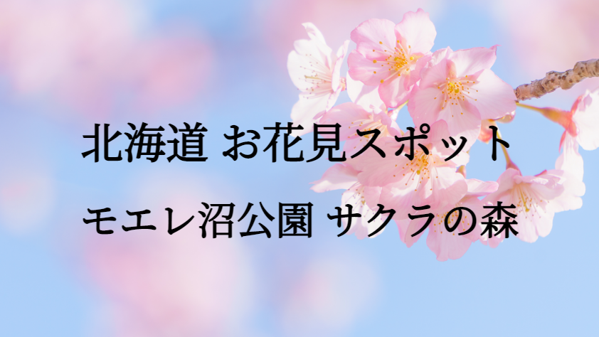 北海道 モエレ沼公園 サクラの森 お花見スポット