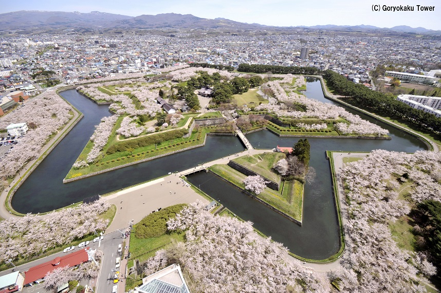 北海道 五稜郭公園 お花見スポット
