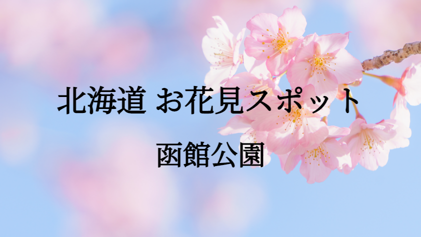 北海道 函館公園 お花見スポット