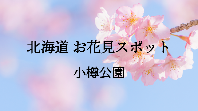 北海道 小樽公園 お花見スポット