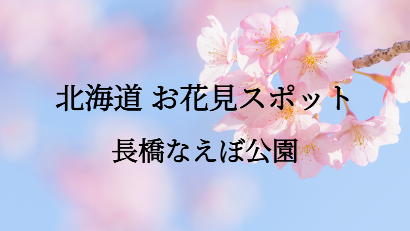 北海道 長橋なえぼ公園 お花見スポット