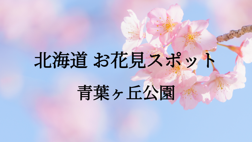 北海道 青葉ヶ丘公園 お花見スポット