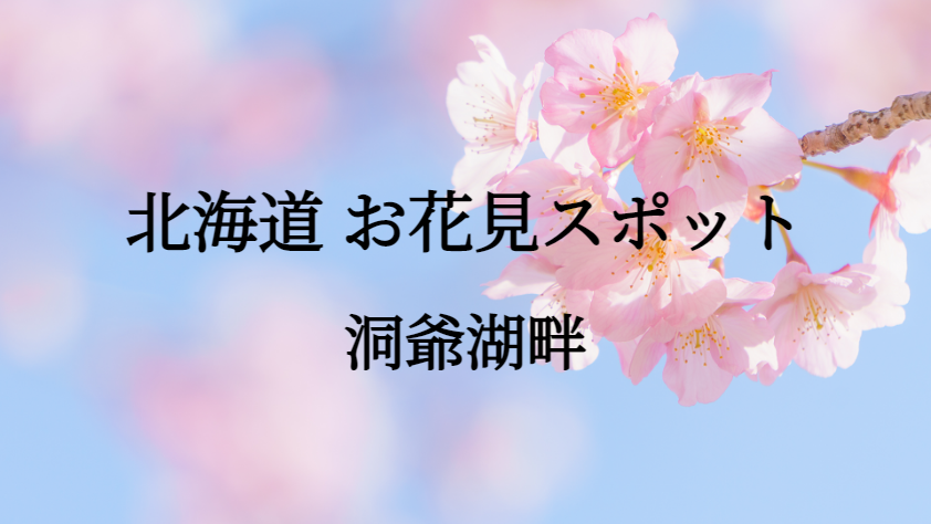 北海道 洞爺湖畔 お花見スポット