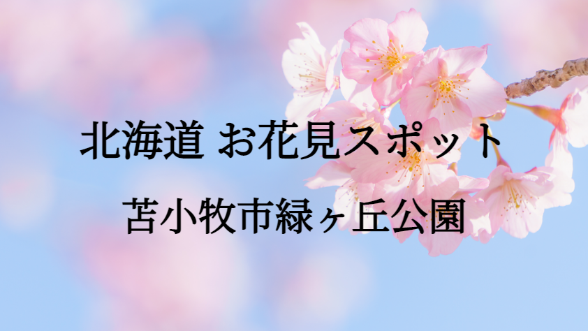 北海道 苫小牧市緑ヶ丘公園 お花見スポット