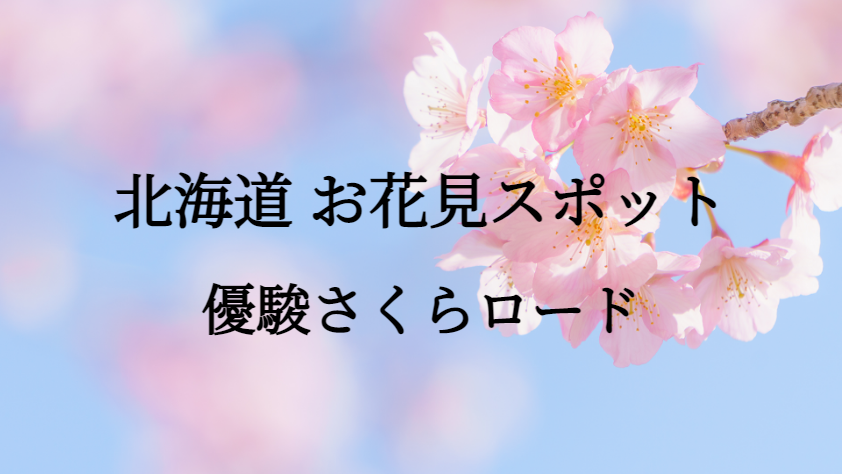 北海道 優駿さくらロード お花見スポット