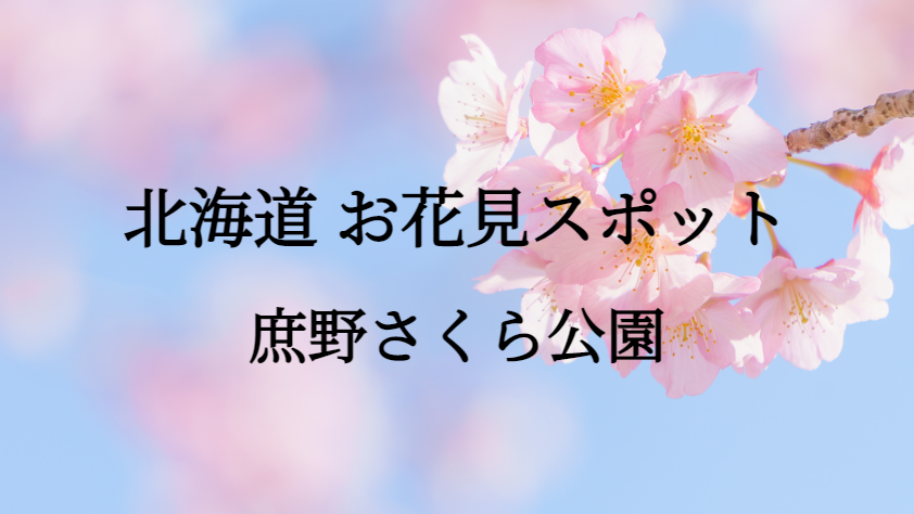 北海道 庶野さくら公園 お花見スポット