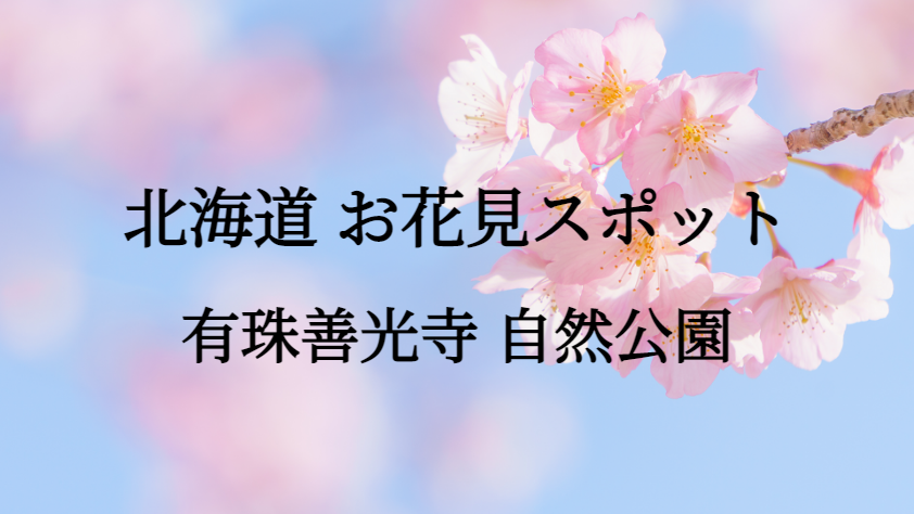 北海道 有珠善光寺 自然公園 お花見スポット