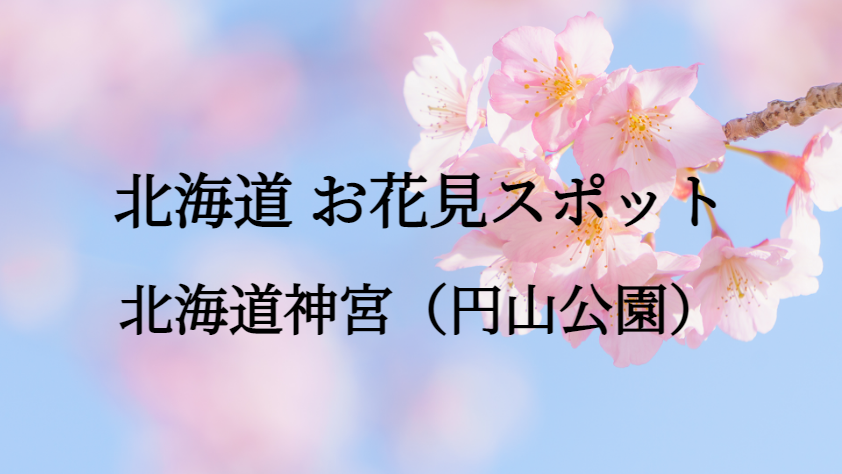 北海道 北海道神宮(円山公園) お花見スポット
