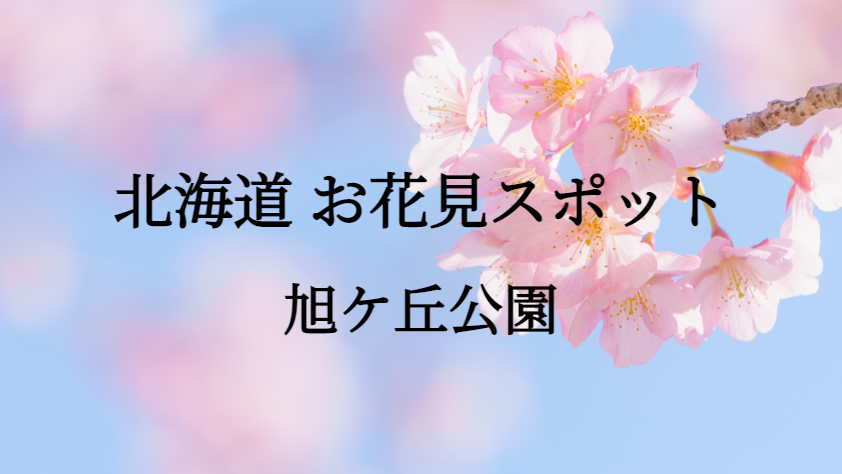 北海道 旭ケ丘公園 お花見スポット