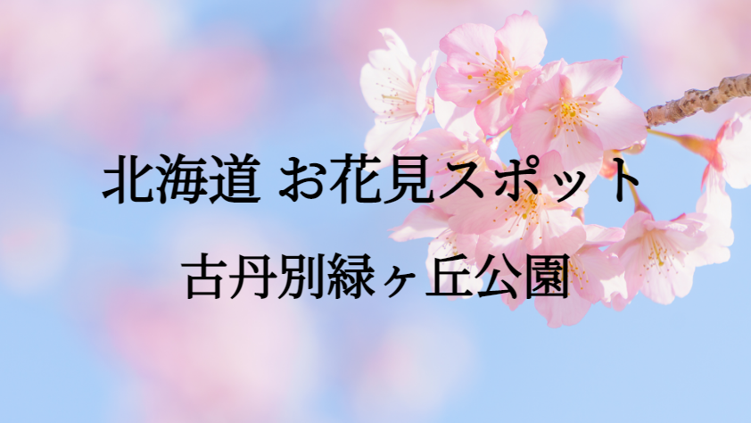北海道 古丹別緑ヶ丘公園 お花見スポット