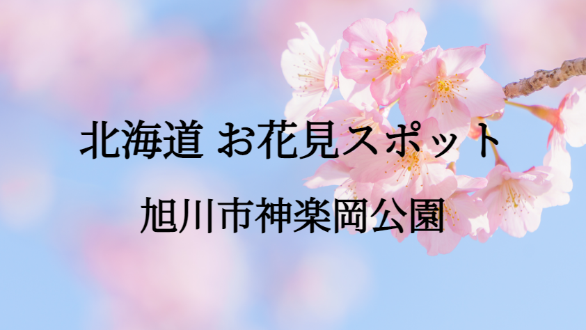北海道 旭川市神楽岡公園 お花見スポット