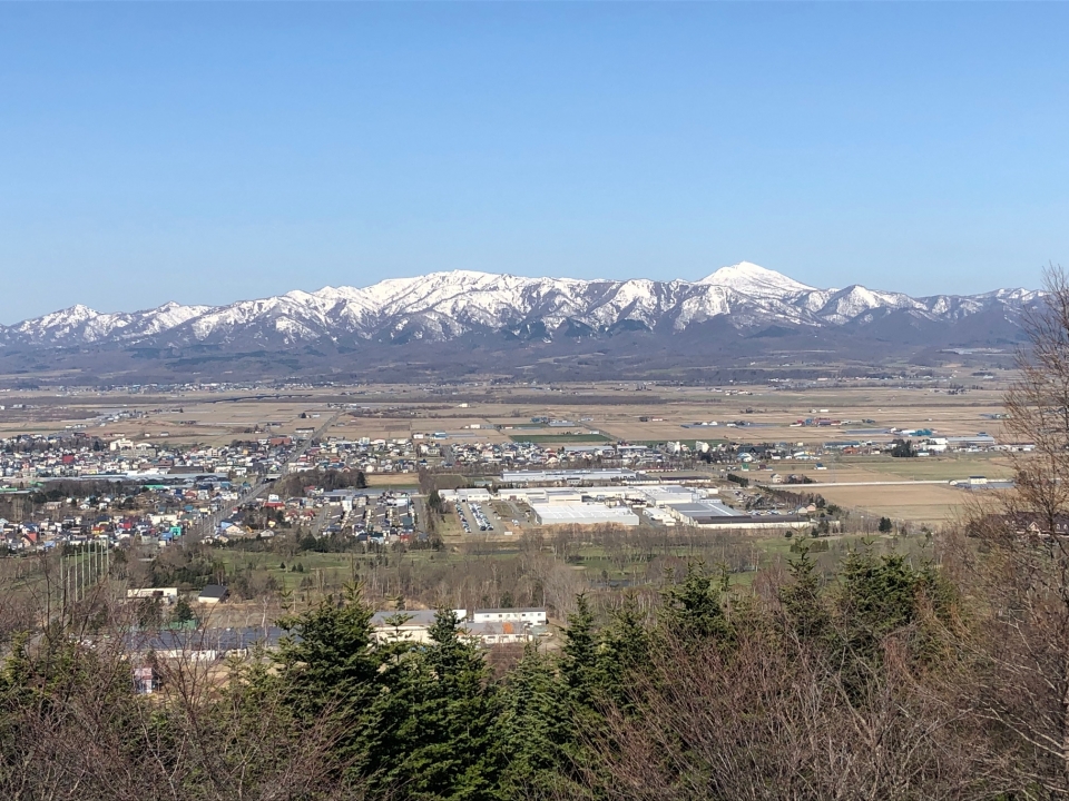 北海道 にわ山森林自然公園 お花見スポット