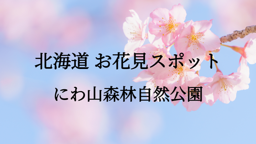 北海道 にわ山森林自然公園 お花見スポット
