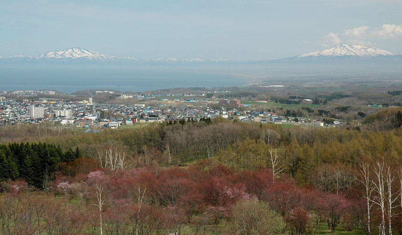 北海道 天都山 お花見スポット