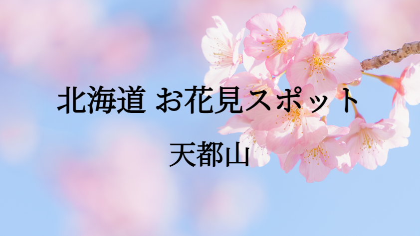 北海道 天都山 お花見スポット