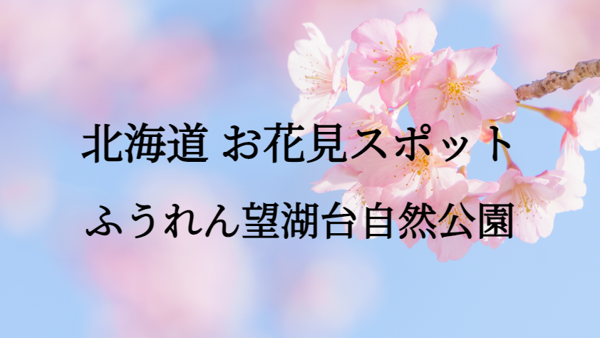北海道 ふうれん望湖台自然公園 お花見スポット